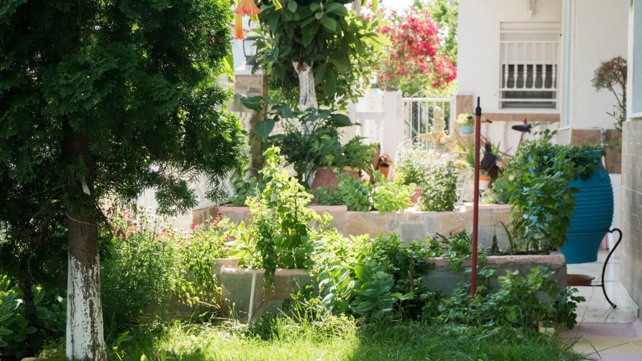 Niki Apartments Παραλία Διονυσίου Εξωτερικό φωτογραφία