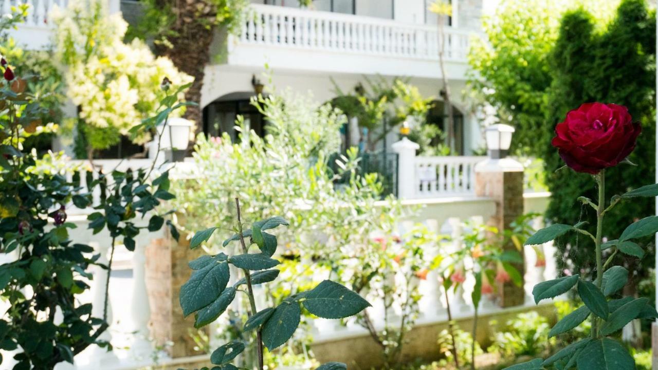 Niki Apartments Παραλία Διονυσίου Εξωτερικό φωτογραφία