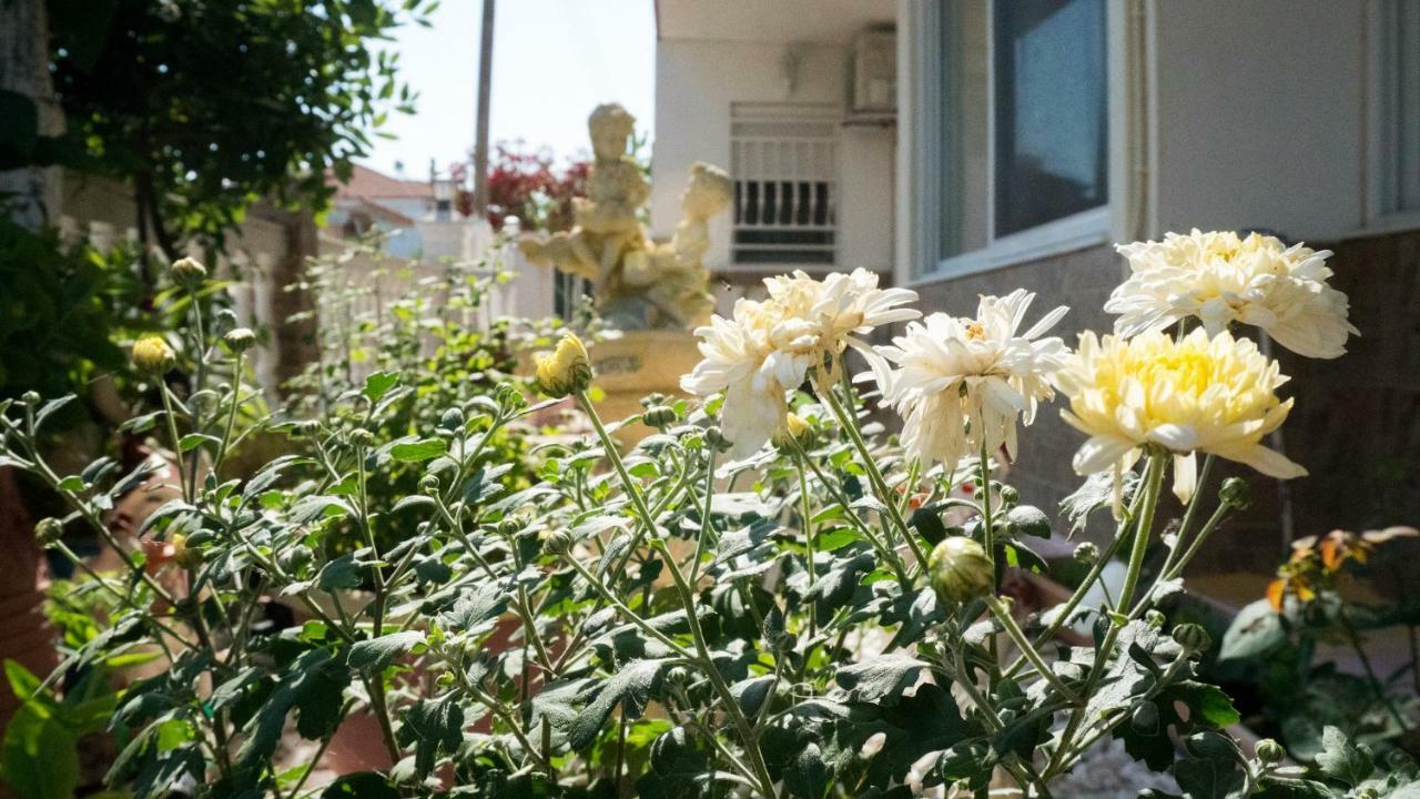 Niki Apartments Παραλία Διονυσίου Εξωτερικό φωτογραφία